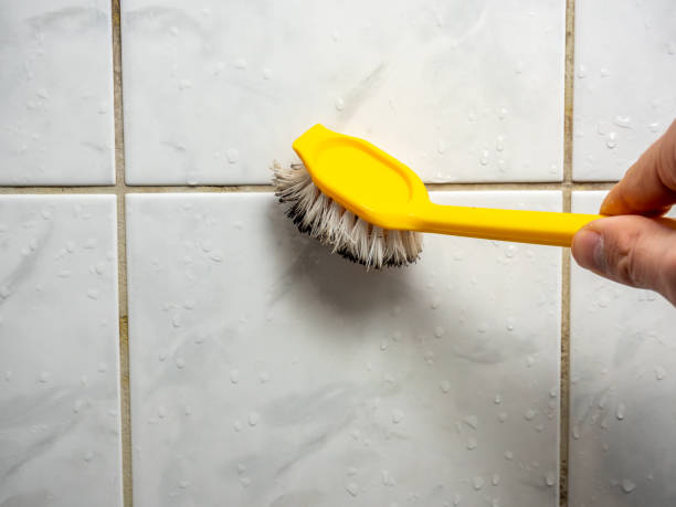 Office Mold Removal Services in Oneida, NY