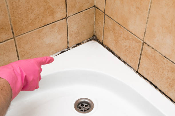 Best Emergency Mold Removal  in Oneida, NY